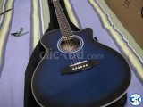 TGM guitar With accessories 