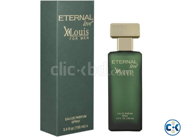 Eternal Love Xlouis Eau De Parfum for Men Made in USA 100ml large image 0