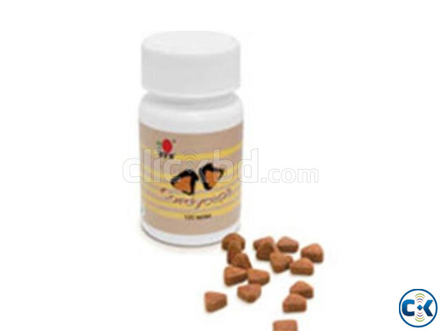 DXN Cordyceps Cereal large image 0