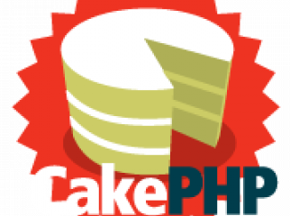 cakePHP developer