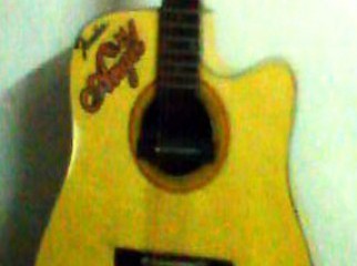 Fendar acoustic guitar