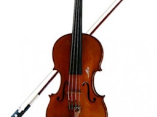 Violin China
