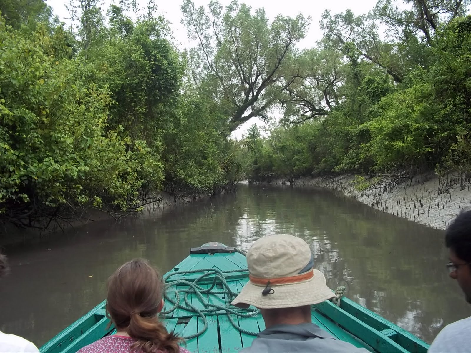 Eid Special Sundarban package tour and Regular Sundarban Tou large image 1