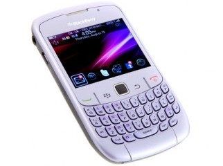 100 fresh blackberry sell low price at click bd urgent 