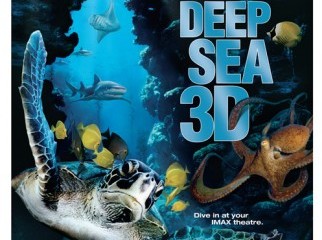 3D Side by Side 1080p BluRay Movies for 3D TV
