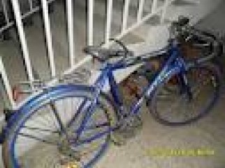 Fitto Racing Cycle in Sale