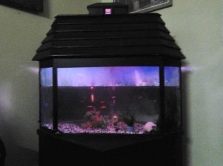 aquarium for sell in chittagong