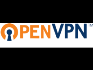 Open VPN for ur terminal with Real IP