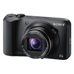Sony DSC-H90 16x High Zoom Digital Camera
