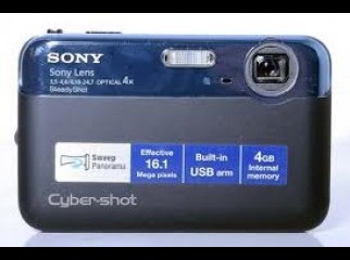 Sony Cyber-shot DSC-J10 16.1 Mega Pixel Camera