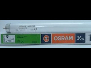 OSRAM Tube Light in Bangladesh