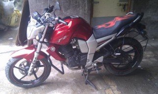 fzs red 2011