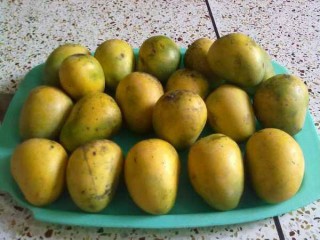 Mango Sell from Chapai
