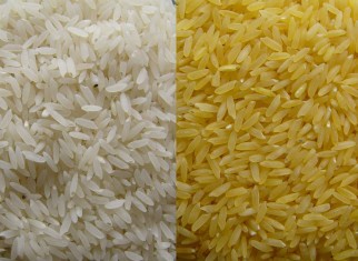 Rice for Sale