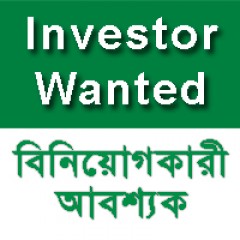 Financial Investor Wanted for IT Firm