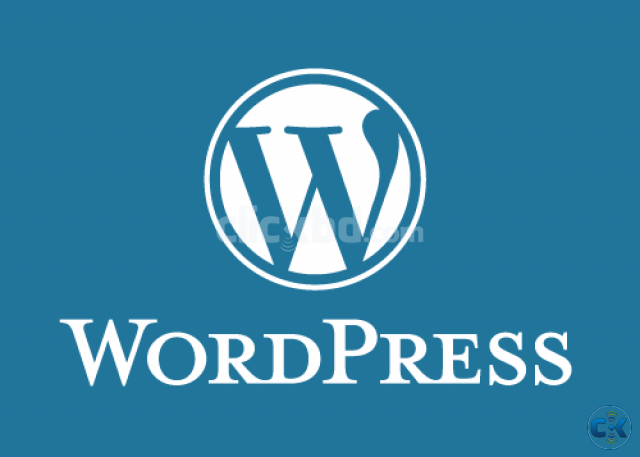 Wordpress Expert Web Developer Needed large image 0