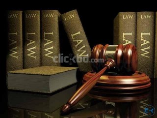 want a job for junior lawyer