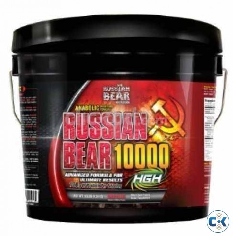 RussianBear Serious Weight Gain Formula 5 lb 10 lb large image 0