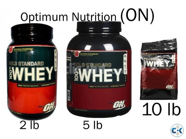 ON Gold Standard 100 Whey Protein large image 0