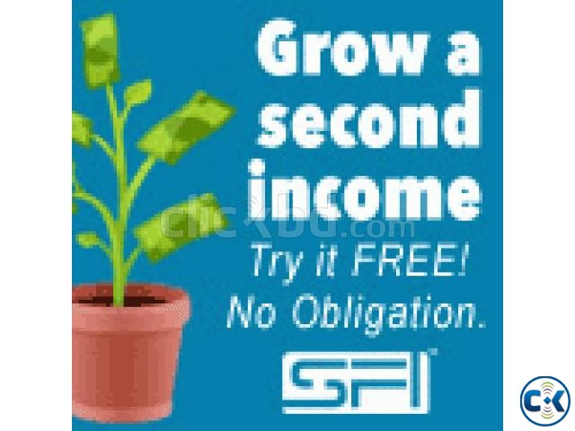 Free Internet Home Business from USA large image 0