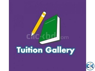 Looking for Private Tutor 