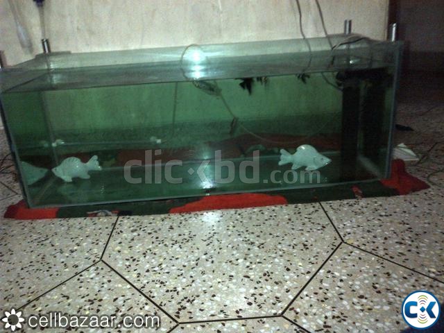 Big Fish aquarium in tank low price u see large image 0