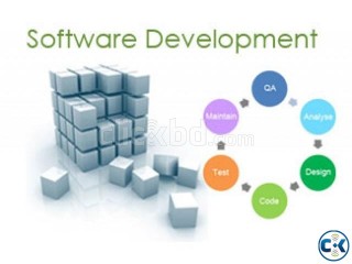 Customized Software Development
