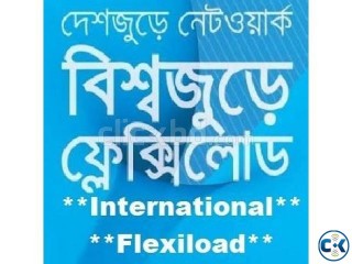 International Flexiload