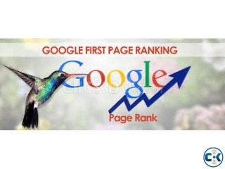 Google 1st page ranking