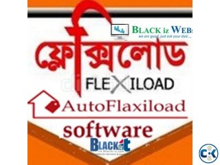Auto Flexiload software