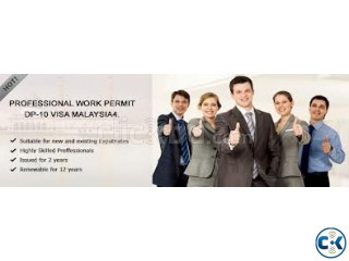 Professional Work Permit for IT Professional Only