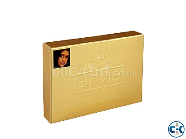 Envie Gold Facial Kit large image 0
