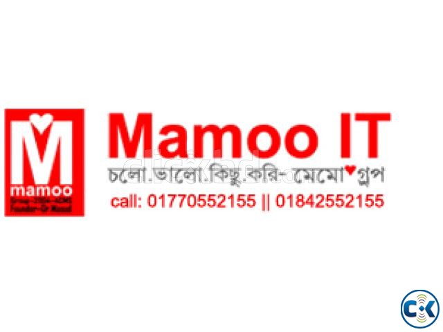 Mamoo IT Website Analyst large image 0