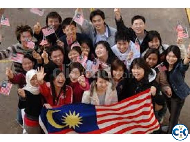 Malaysia DP10 professional Visa large image 0