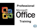 Professional Microsoft Office Training