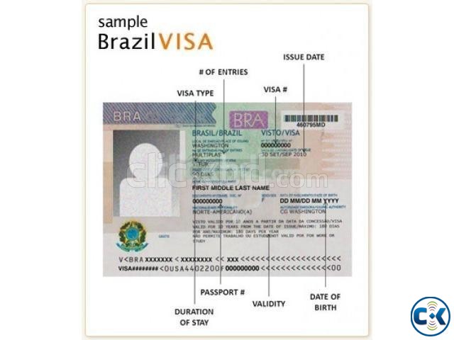 Brasil visa large image 0