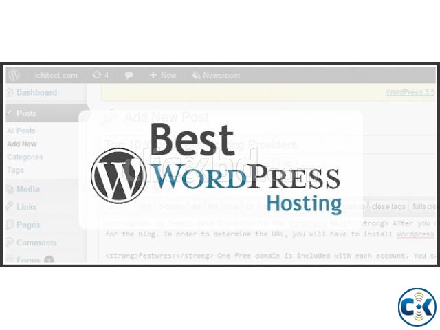 WordPress Hosting 1000 Tk. large image 0
