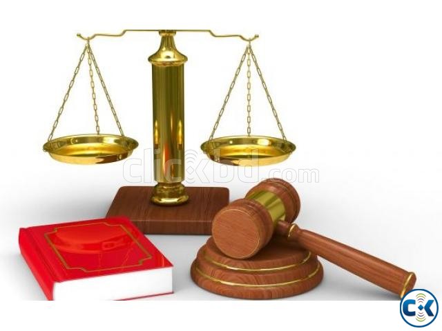 Legal support Advice Solution for Criminal Case large image 0