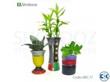 Decorative indoor plants package