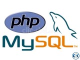 Web Developer Responsive PHP 