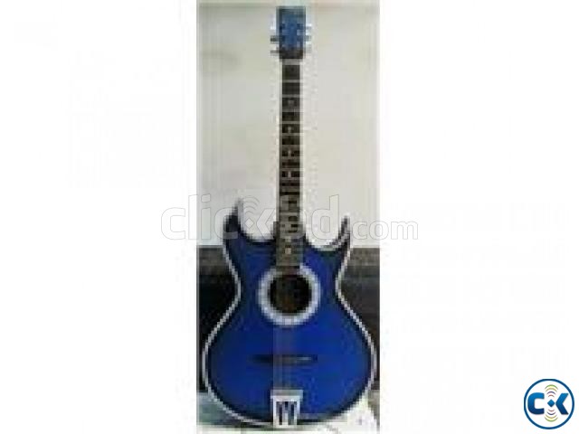 Bangladeshi Guitar large image 0