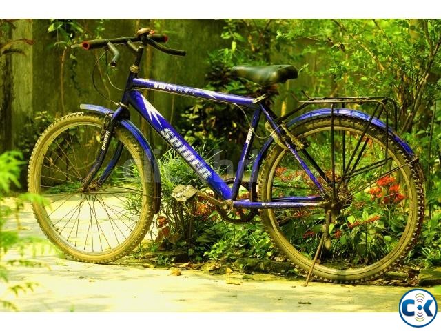 Used Cycle SPIDER  large image 0