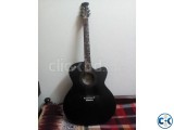 Signature Topaz acoustic Guitar