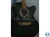 givson acoustic