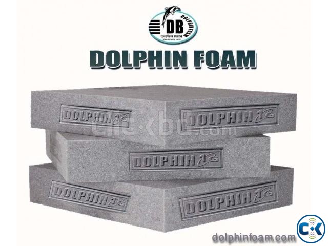 Dolphin Foam 5G large image 0