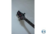 Custom Bass Guitar Gigbag