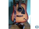 Gibson Acoustic Jumbo Guitar