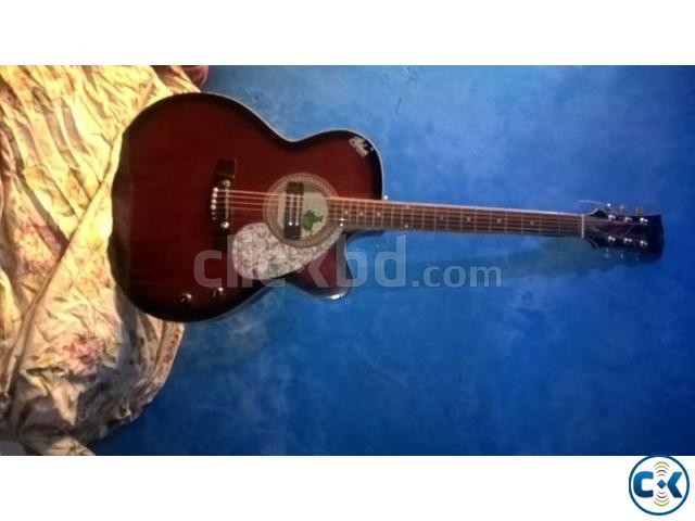 Hobner FT-235 Acoustic Guitar large image 0