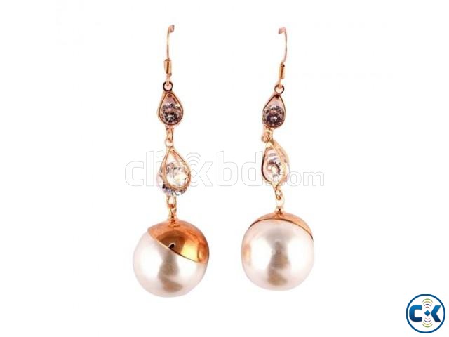 Gold Plated Earrings large image 0