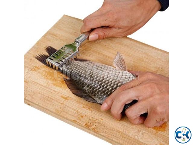 Fish Scales Remover large image 0